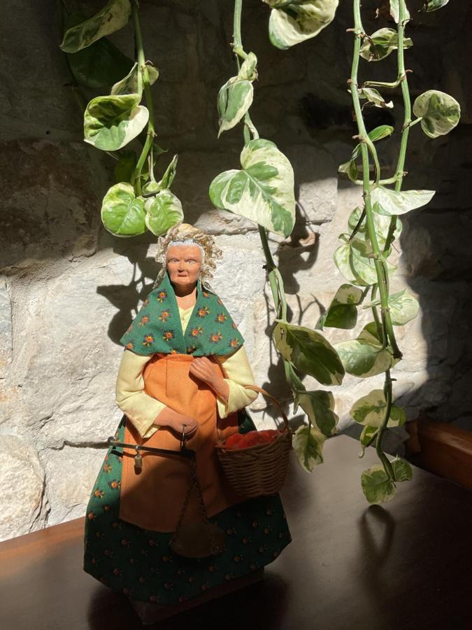 Place Aux Herbes Apartment Nimes Ngoại thất bức ảnh
